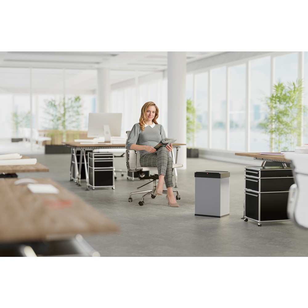 Productafbeelding nr. 5: Afvalbak Hailo® Big-Box Swing, 40 liter, zilverkleurig