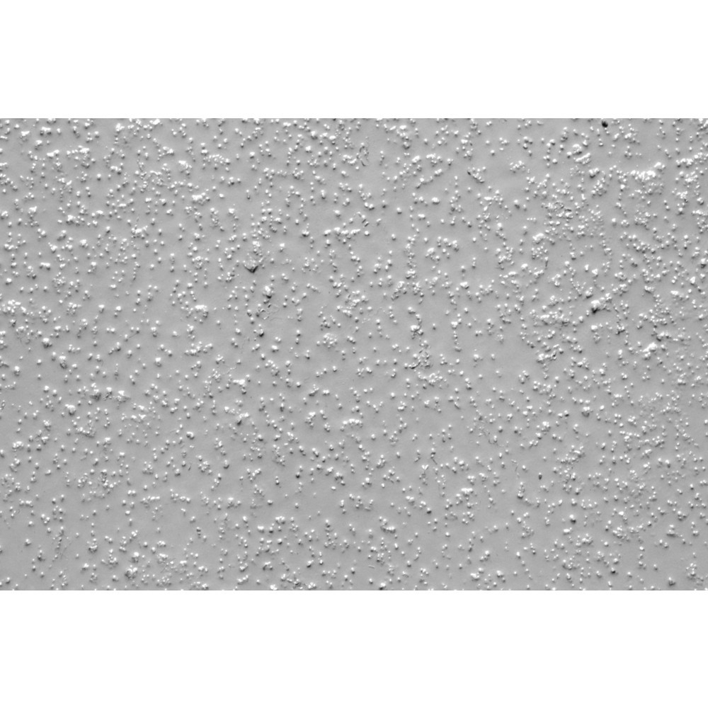 Product afbeelding: Antislip vloercoating Extra Sterk, korrelgrootte fijn, lichtgrijs