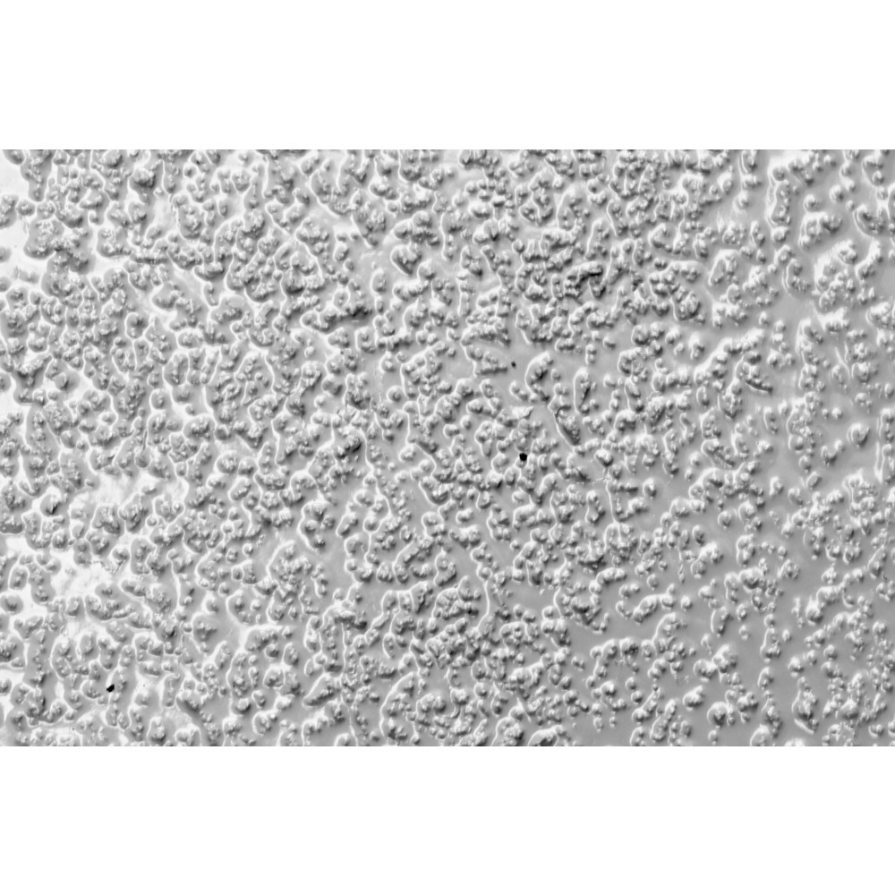 Product afbeelding: Antislip vloercoating Extra Sterk, korrelgrootte medium, lichtgrijs