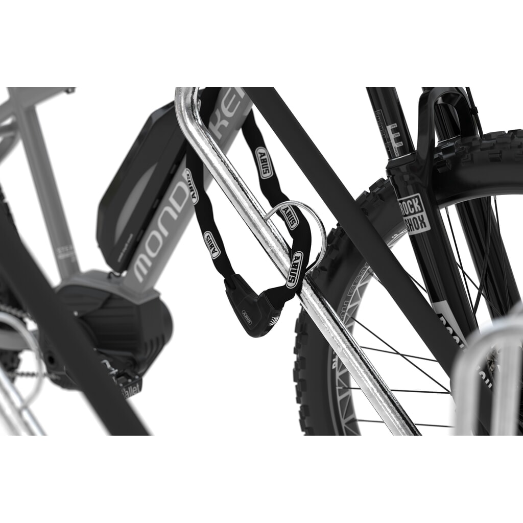 Productafbeelding nr. 6: wsm® fietsoverkapping Economy Köln, ESG-beglazing, fietsparksysteem 4702 XBF, voor 4 fietsen, HxBxD 2440 mm x 2165 mm x 2165 mm