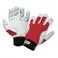 Productcategorie afbeelding: Handschoenen