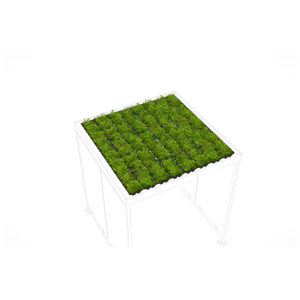 Groendakpakket GREENPLUS Premium voor rookoverkapping wsm®, montage in de fabriek, uitvoering Premium, ca. 4 m² Product afbeelding: Groendakpakket GREENPLUS Premium voor rookoverkapping wsm®, montage in de fabriek, uitvoering Premium, ca. 4 m²