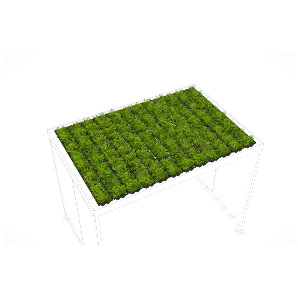 Groendakpakket GREENPLUS Premium voor rookoverkapping wsm®, montage in de fabriek, uitvoering Premium, ca. 6 m² Product afbeelding: Groendakpakket GREENPLUS Premium voor rookoverkapping wsm®, montage in de fabriek, uitvoering Premium, ca. 6 m²