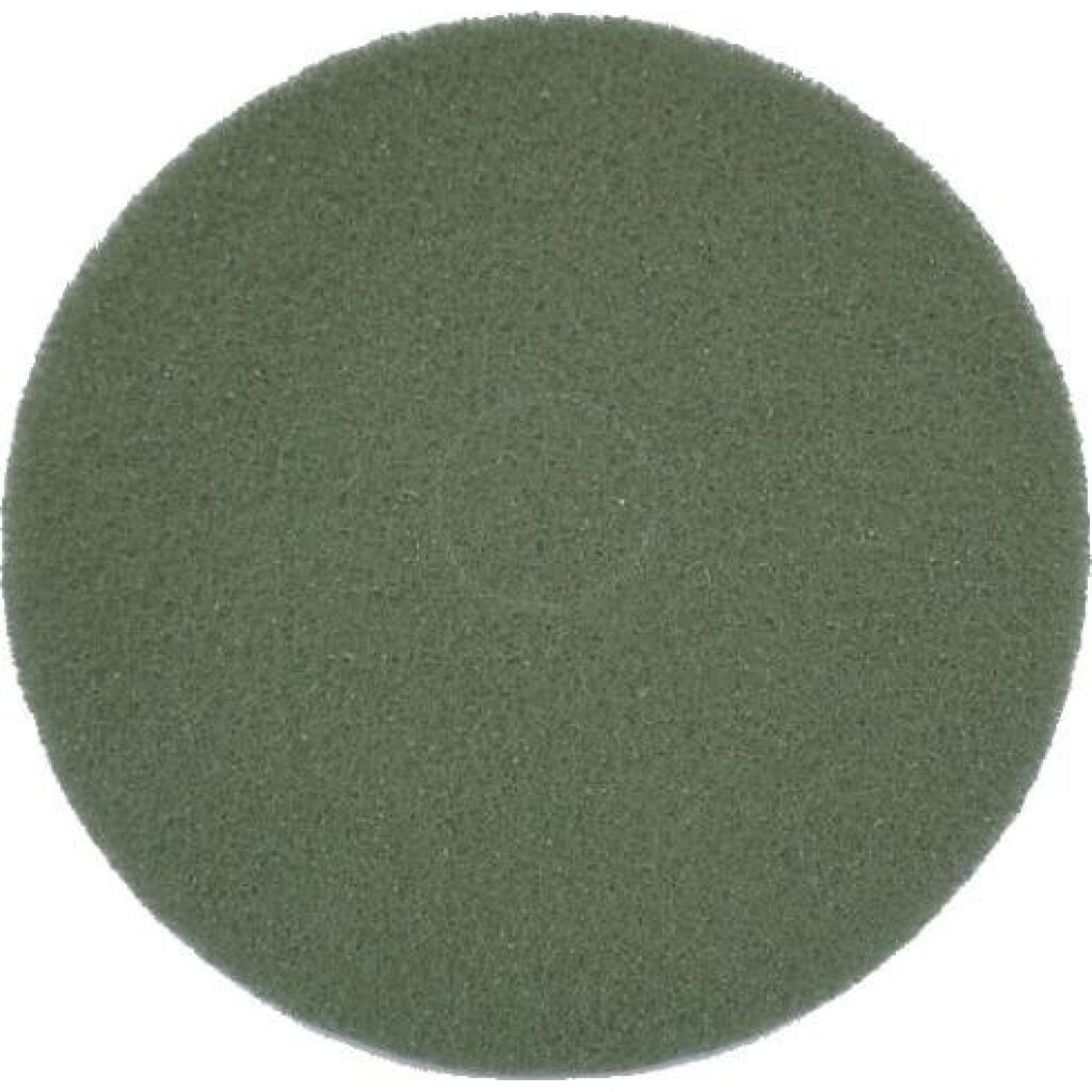Product afbeelding: Eco Brilliant Pad voor Nilfisk® boenmachine FM400, diameter 431 mm, verpakking van 2, groen