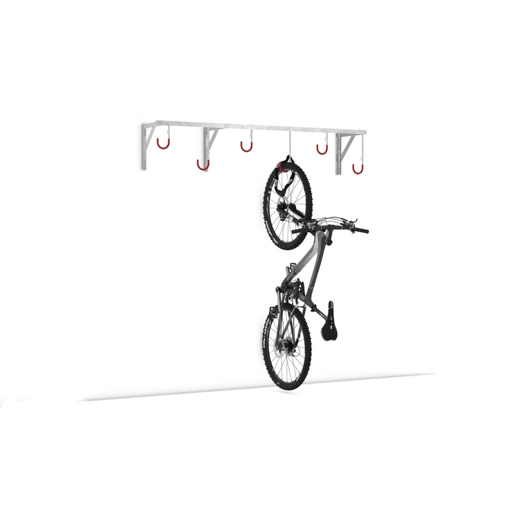 Productafbeelding nr. 8: Fietsophangrek, 2 plaatsen, plafondmontage