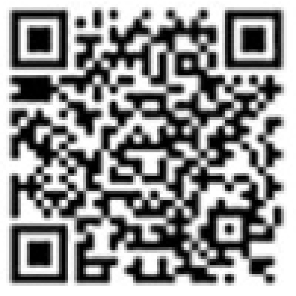 Productafbeelding nr. 2: Zadelkruk Global Stole A/S Dalton Fixmek Alu50, wielen, zwart