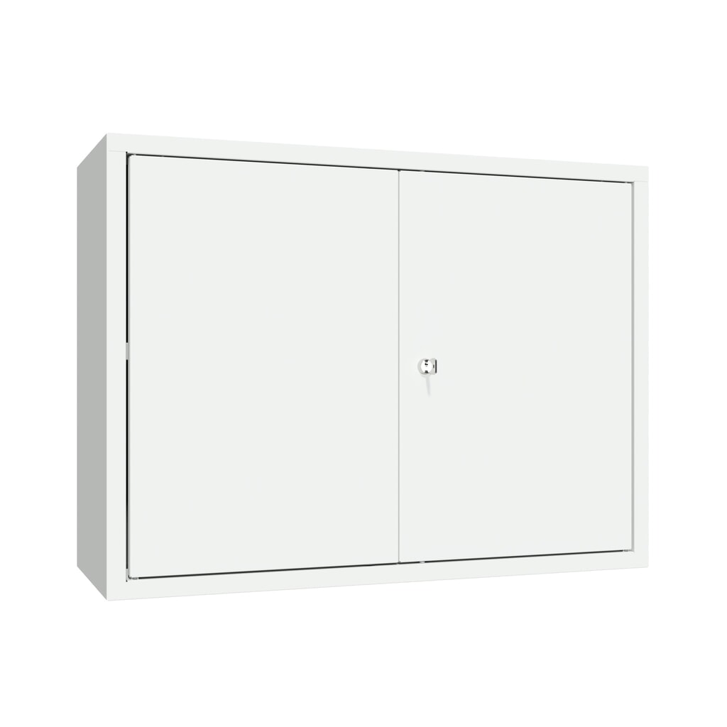 Product afbeelding: Hangkast PAVOY, hxbxd 600 x 800 x 300 mm, lichtgrijs, lichtgrijs