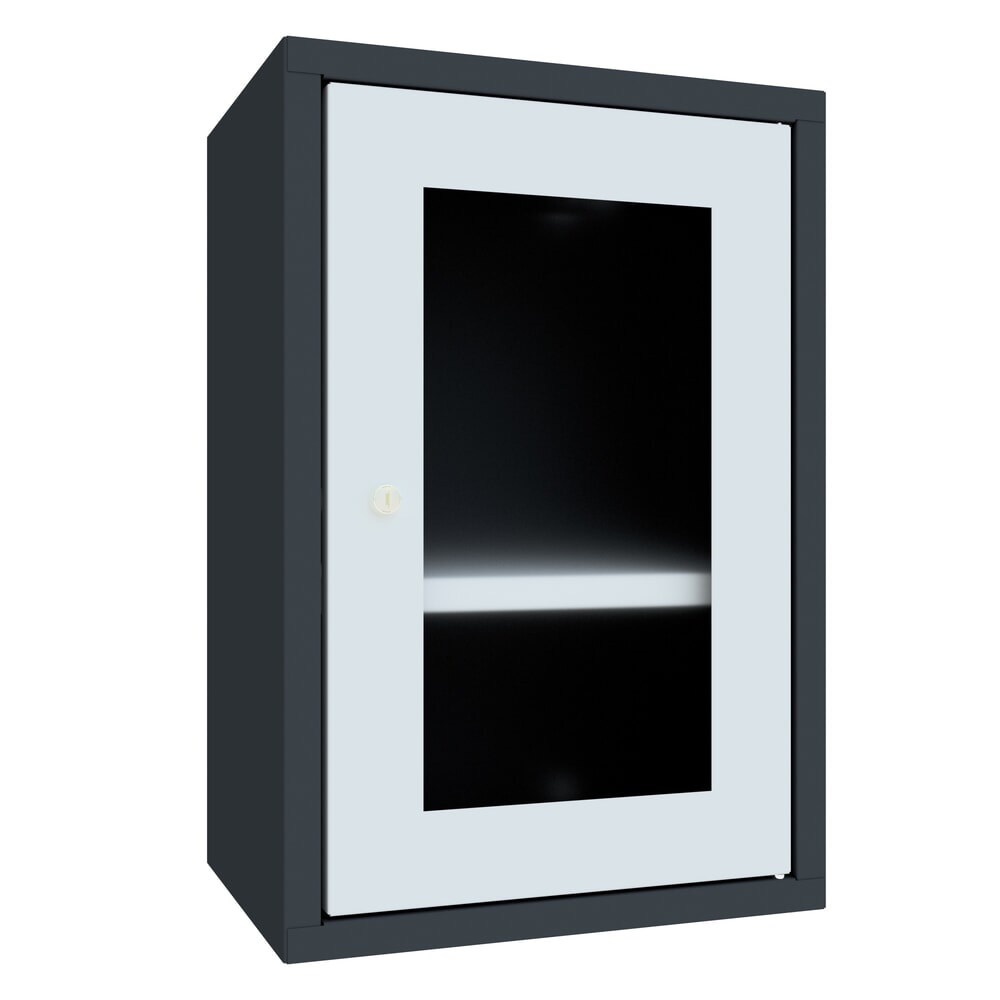 Product afbeelding: Hangkast PAVOY met kijkvenster, hxbxd 600 x 400 x 300 mm, lichtgrijs, antracietgrijs