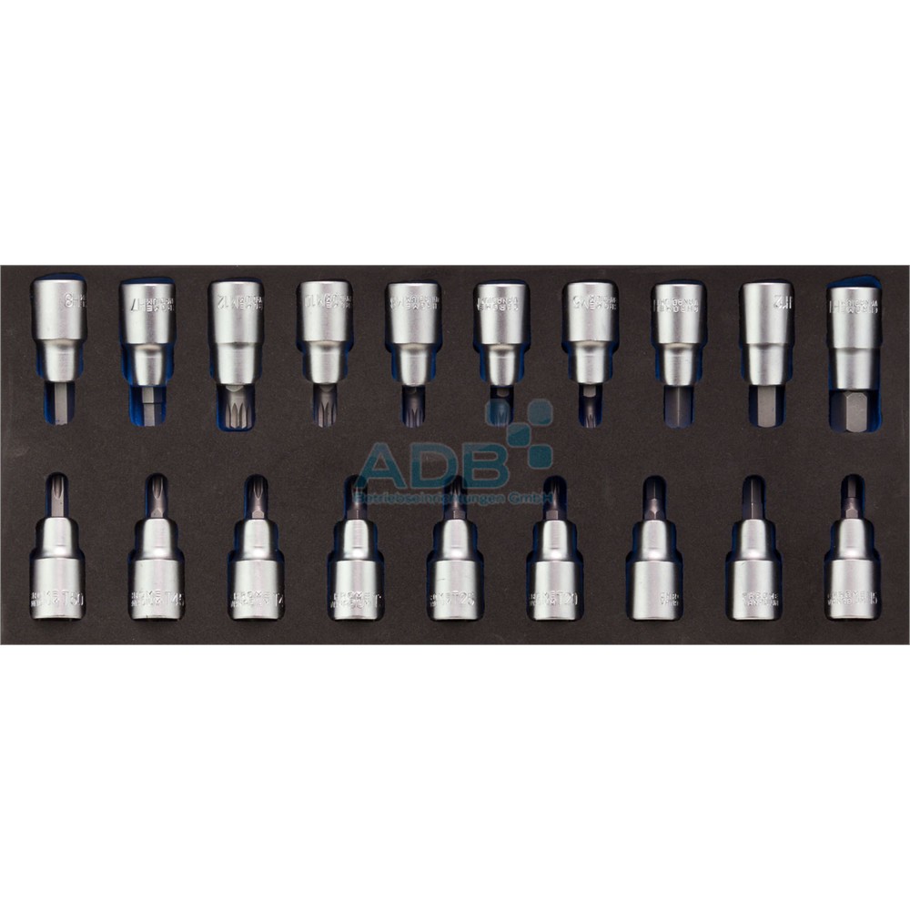 Productafbeelding nr. 2: Inbus-/torx-set 1/2", 19-delig, schuimrubberen inleg