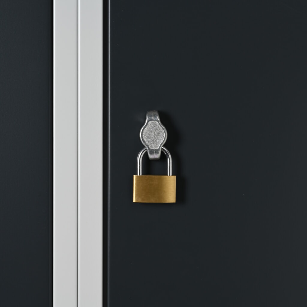 Productafbeelding nr. 2: Kast Steinbock®, op de vloer staand, 2 etages, 4 vakken, draaivergrendeling, hxbxd 1.800 x 600 x 500 mm, lichtgrijs / antracietgrijs