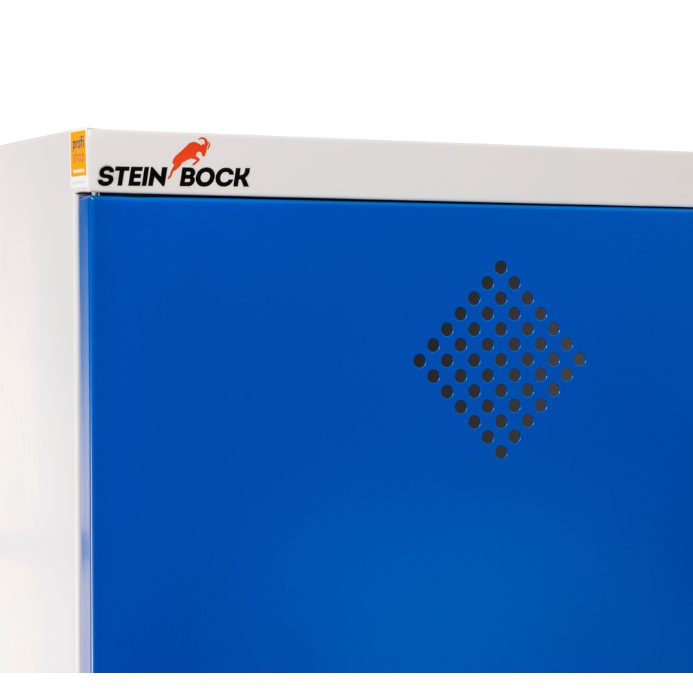 Productafbeelding nr. 4: Kast voor chemicaliën en giftige stoffen Steinbock®, 2 lekbakken, hxbxd 1000 x 950 x 500 mm
