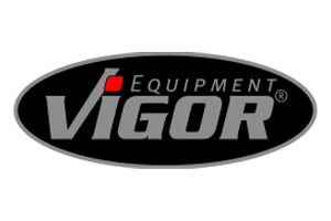 Logo VIGOR