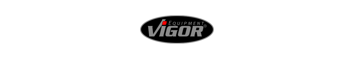 Logo VIGOR