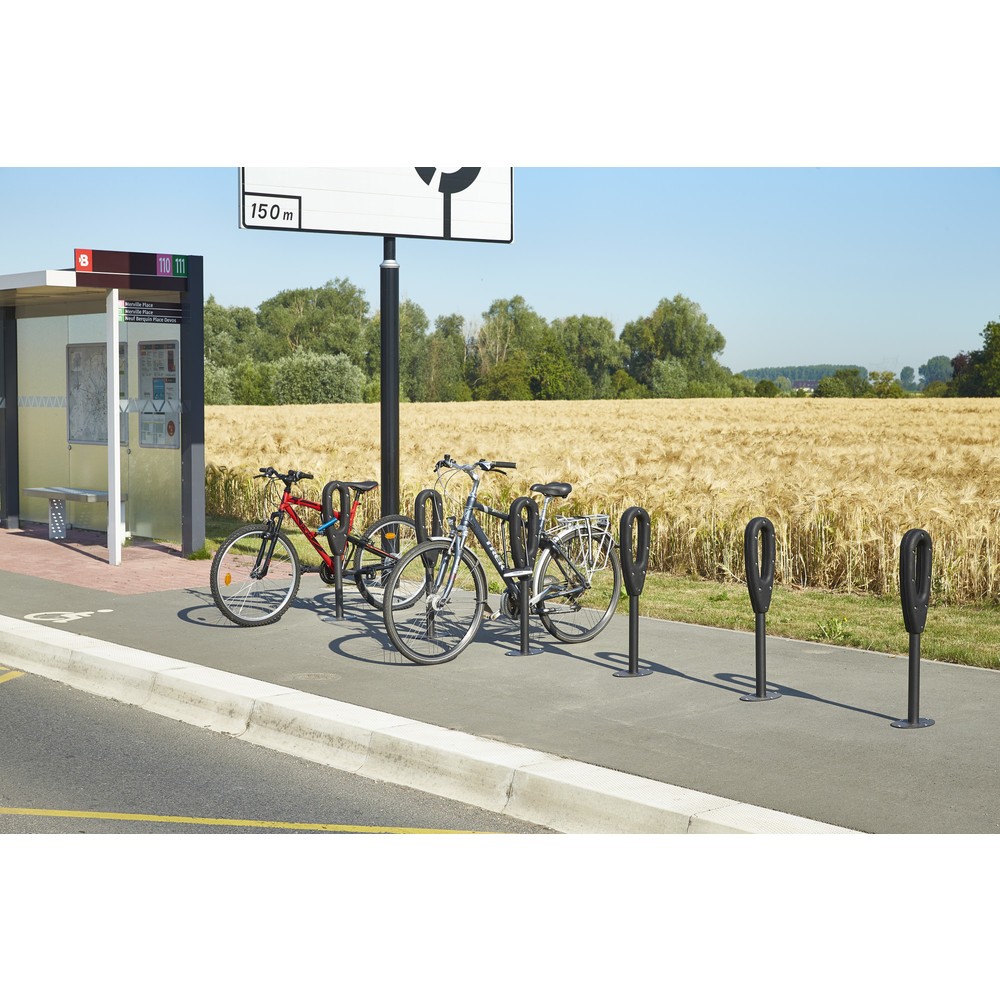 Productafbeelding nr. 6: MOTTEZ paal voor 2 fietsen, lengte 260 mm