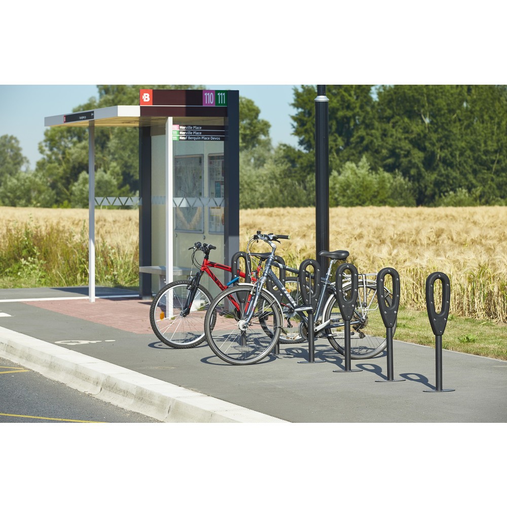 Productafbeelding nr. 9: MOTTEZ paal voor 2 fietsen, lengte 260 mm
