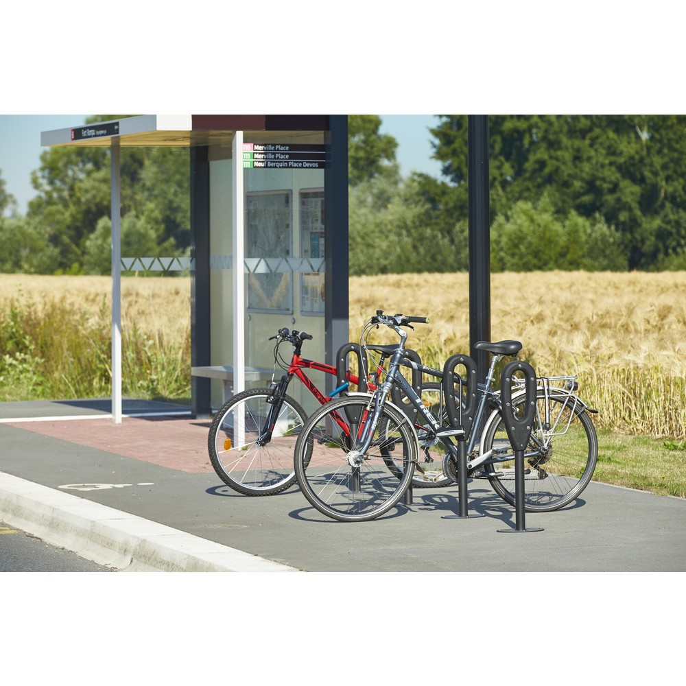 Productafbeelding nr. 10: MOTTEZ paal voor 2 fietsen, lengte 260 mm