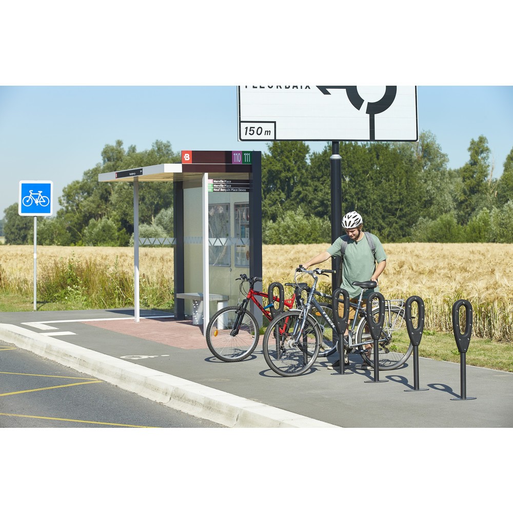 Productafbeelding nr. 14: MOTTEZ paal voor 2 fietsen, lengte 260 mm