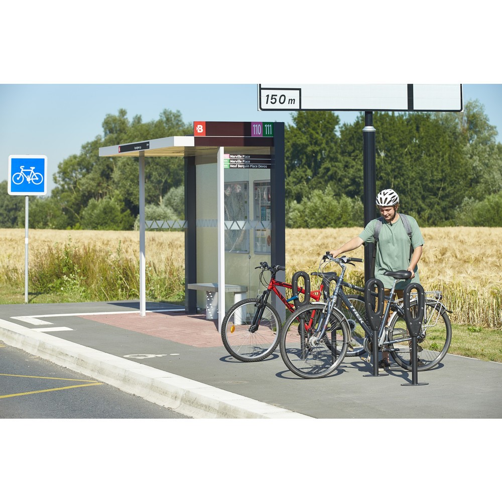 Productafbeelding nr. 16: MOTTEZ paal voor 2 fietsen, lengte 260 mm