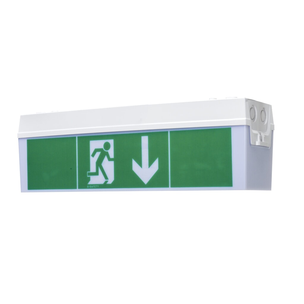 Reddingslicht Basic, wand- en plafondmontage, veiligheidsklasse II, IP 54 Product afbeelding: Reddingslicht Basic, wand- en plafondmontage, veiligheidsklasse II, IP 54