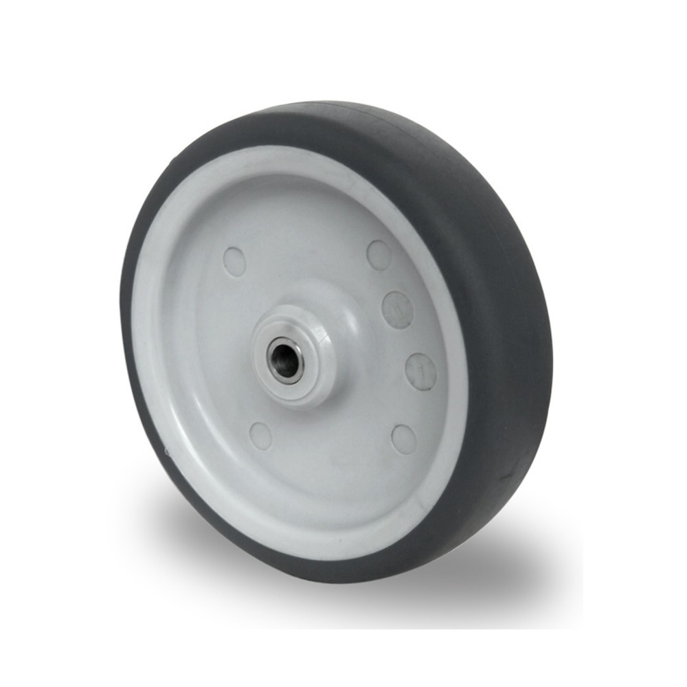 Product afbeelding: Wiel ø 100 mm serie P2W2 glijlager roestvrij staal